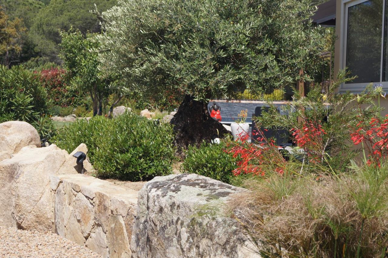 Les Jardins De Santa Giulia - Charmante chambre d'hôte Porto-Vecchio (Corsica) Exterior foto